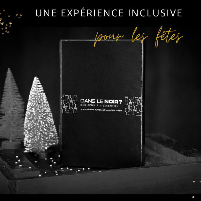 DES EXPERIENCES INCLUSIVES POUR NOËL CHEZ DANS LE NOIR ? PARIS